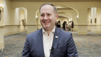 Conservative watchdog confronts Disney CEO over employee critical race theory in training programs