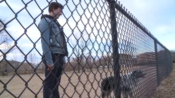 Colorado police investigating after box of human heads stolen from truck in Denver