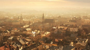 Latvian woman to drive abandoned pets out of Lviv, Ukraine, to escape the Russian-Ukraine war