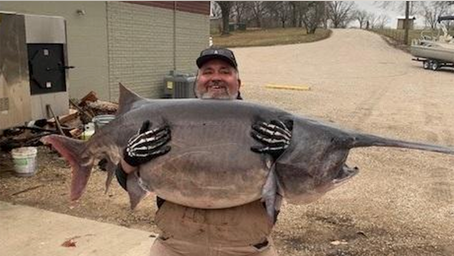 Illinois man catches 140-pound paddlefish, setting new fishing record in Missouri