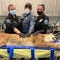 California police capture mountain lion trying to enter hair salon