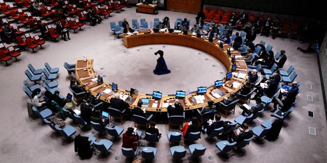 FILE PHOTO: A general view of the United Nations Security Council meeting after Russia's invasion of Ukraine, at the United Nations Headquarters in Manhattan, New York City, New York, U.S. February 28, 2022.