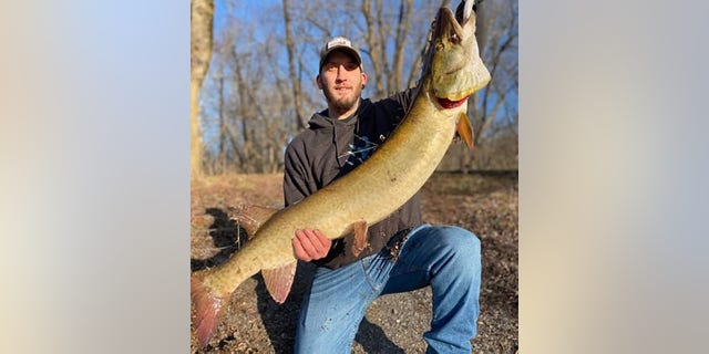 Kyle Mullenix set the first Maryland fishing record for 2022 with this 33-pound, 49-inch muskie.