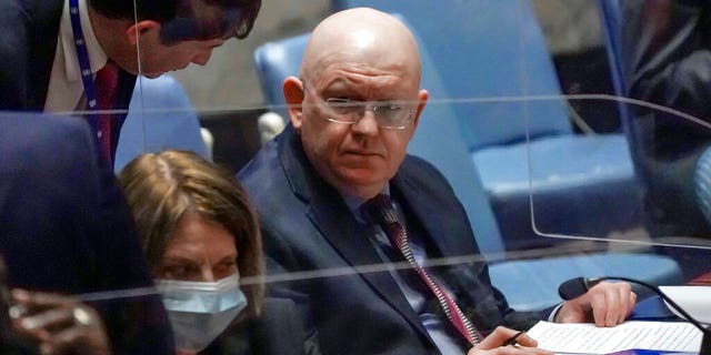 Vassily Nebenzia sits in chamber during meeting