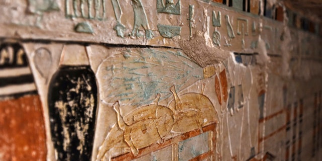 Walls decorated with hieroglyphic inscriptions and images of sacred animals are seen at a recently discovered tomb near the famous Step Pyramid, in Saqqara, south of Cairo, Egypt, Saturday, March 19, 2022.