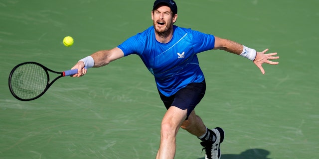 Andy Murray of Britain return the ball to Italy's Jannik Sinner during a match of the Dubai Duty Free Tennis Championship in Dubai, United Arab Emirates, Wednesday, Feb. 23, 2022.