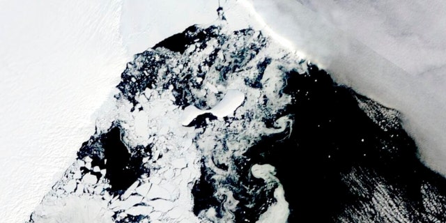 This satellite image provided by NASA, Aqua MODIS 21 on March 2022 shows the two pieces of C-38 (A and B icebergs) next to the main piece of C-37 at the top.