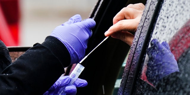 A driver places a swab into a vial at a free drive-thru COVID-19 testing site in the parking lot of the Mercy Fitzgerald Hospital in Darby, Pa., Thursday, Jan. 20, 2022. (AP Photo/Matt Rourke, File)