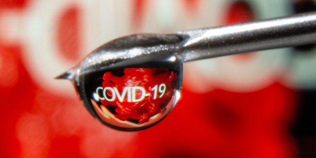 The word "COVID-19" is reflected in a drop on a syringe needle in this illustration taken November 9, 2020. REUTERS/Dado Ruvic/Illustration 