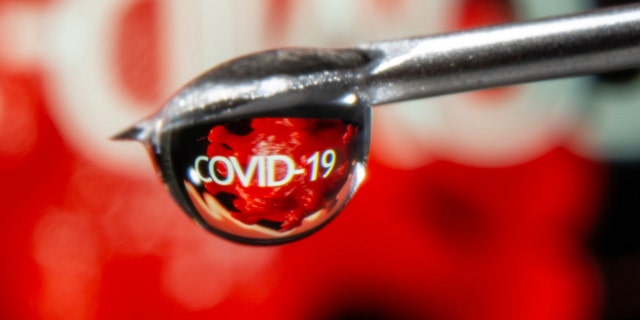 The word "COVID-19" is reflected in a drop on a syringe needle in this illustration taken November 9, 2020. REUTERS/Dado Ruvic/Illustration 