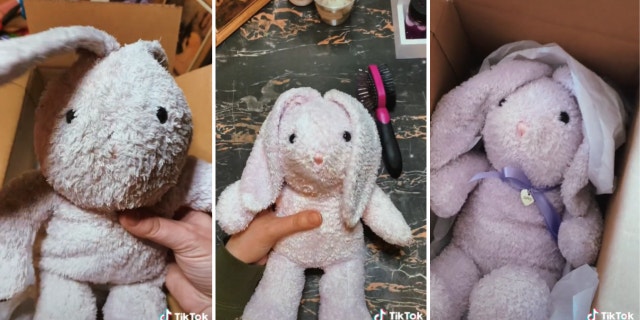 Danielle Allore-Taylor – a Michigan-based plush doll restoration expert who owns and operates Fluff Stuffed Animal Restoration - offered her services to restore the lost stuffed bunny for Erin Sorensen.