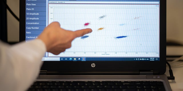 A sample analysis of a wastewater sample with evidence of viral genes of the SARS-CoV-2 virus can be seen on a monitor in a laboratory at the Institute of Hygiene and Health on March 3, 2022 in Hamburg, Germany. In a model project, the concentration of SARS-CoV-2 is to be monitored in wastewater over a period of one year.