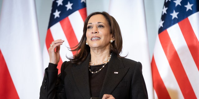 Kamala Harris says Dems’ task ahead of midterms is tell voters ‘they ...