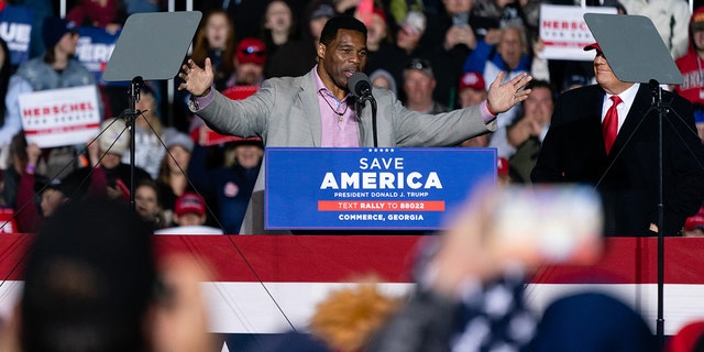 Herschel Walker, Republican Senate candidate for Georgia, speaks after being brought to the stage by former US President Donald Trump at a 'Save America' rally in Commerce, Georgia, US, Saturday, March 26 2022. 