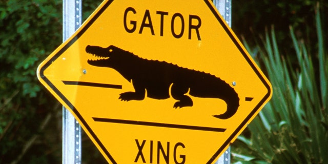 Florida, Sanibel Island, Road Sign For Alligator Crossing.