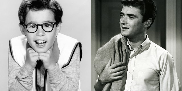 Former child star Barry Livingston (left) is mourning his 'My Three Sons' co-star Tim Considine (right).