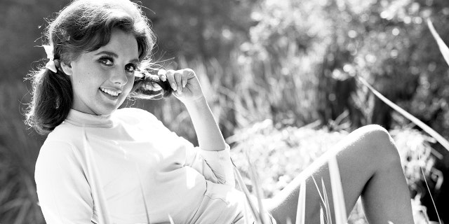 Dawn Wells portrayed Mary Ann Summers in the CBS television program 'Gilligan's Island."