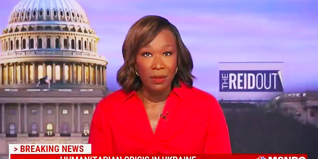 MSNBC host Joy Reid (Screenshot/MSNBC)