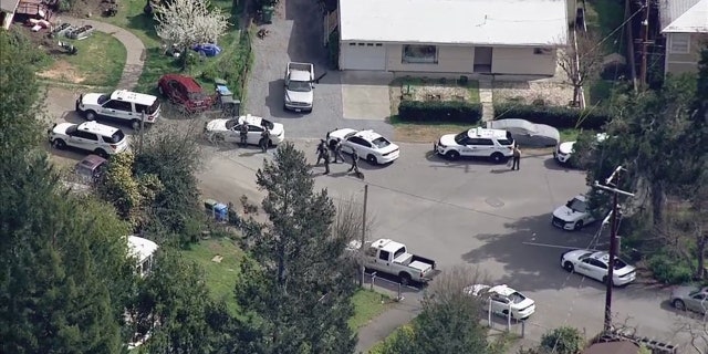 A large police presence was captured on video at the scene.