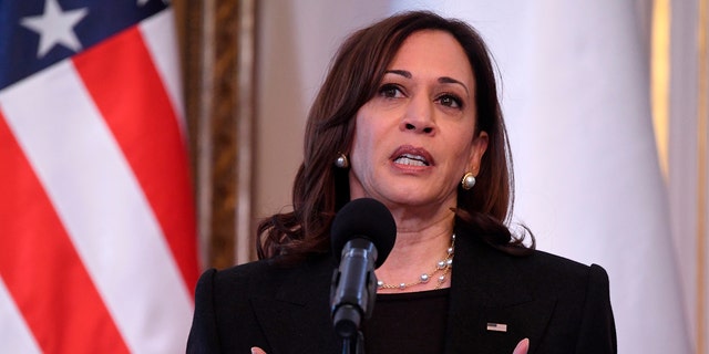 Vice President Kamala Harris speaks during a joint press conference with Poland's President Andrzej Duda on the occasion of their meeting at Belwelder Palace, in Warsaw, Poland, Thursday, March 10, 2022.