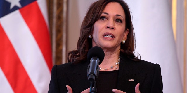 Vice President Kamala Harris speaks during a joint press conference with Poland's President Andrzej Duda on the occasion of their meeting at Belwelder Palace, in Warsaw, Poland, Thursday, March 10, 2022. 