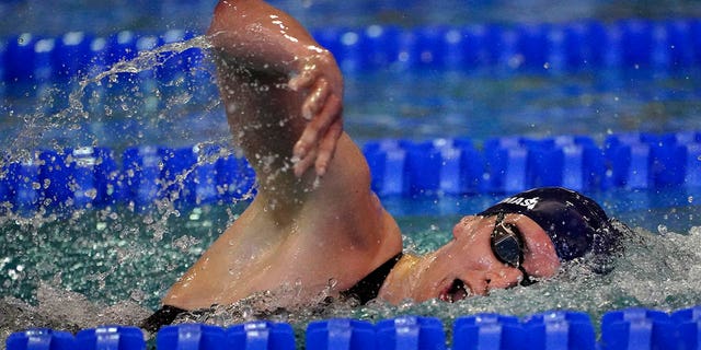 University of Pennsylvania transgender athlete Lia Thomas swims in a preliminary heat for the 500 meter freestyle at the NCAA Swimming and Diving Championships Thursday, March 17, 2022, at Georgia Tech in Atlanta.