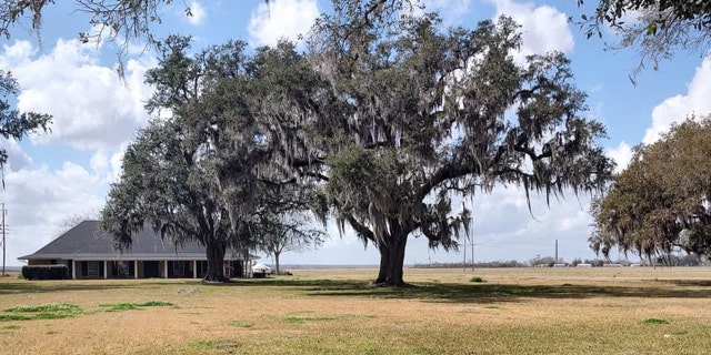 When Barnes first got into Louisiana from Arkansas, he said he noticed the difference in the states almost immediately.