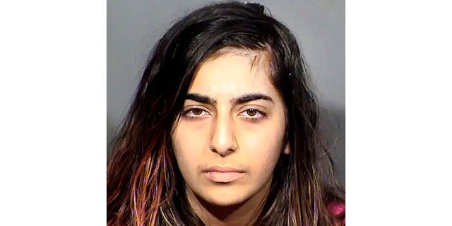 Nika Nikoubin booking photo