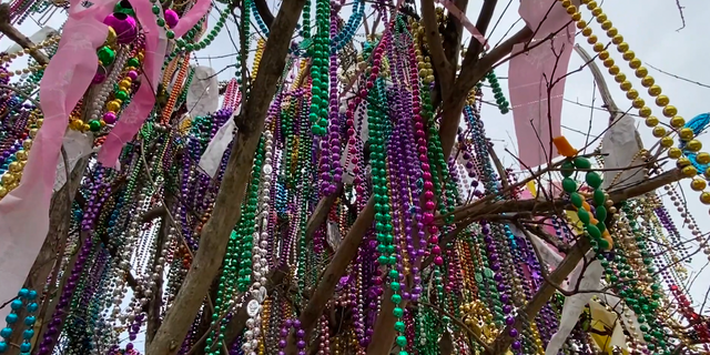 Thousands of Mardi Gras beads are left behind on the parade route every year.