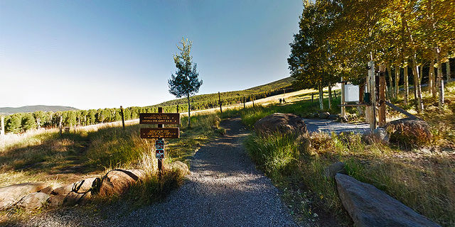The Humphreys Peak Trail in the San Francisco Peaks north of Flagstaff, Arizona.