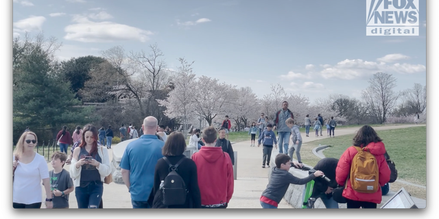 Visitors flood the National Mall in Washington, D.C. during peak cherry blossom season. 