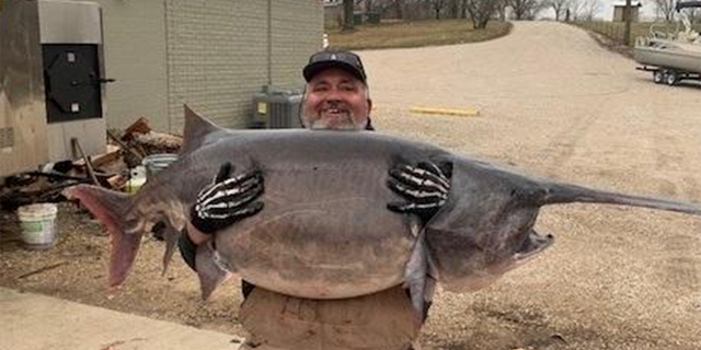 Jim Dain, an Illinois resident, caught a record-breaking paddlefish during a family trip to Missouri.