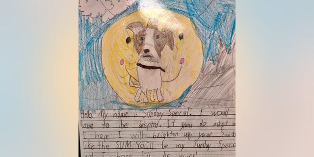 Second-graders at St. Michael's Episcopal School in Richmond created artwork accompanied by letters written to potential cat and dog "parents" from the perspectives of the shelter animals. The children focused on crafting stories for Richmond Animal Care &amp; Control’s oldest residents, the longest residents and animals who needed "some extra help" finding homes.