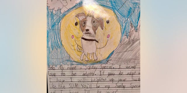 Second-graders at St. Michael's Episcopal School in Richmond created artwork accompanied by letters written to potential cat and dog "parents" from the perspectives of the shelter animals. The children focused on crafting stories for Richmond Animal Care & Control’s oldest residents, the longest residents and animals who needed "some extra help" finding homes.