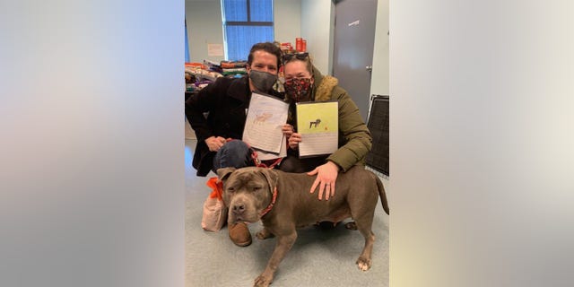 A family in Richmond, Virginia, are seen after the adoption of a dog at Richmond Animal Care & Control. Local students had written stories and created illustrations that were later pinned to kennels to motivate potential adopters to bring an animal home.