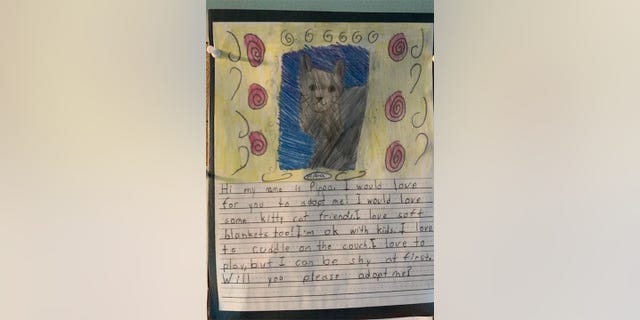 "I am so proud to see my students rise to the occasion and write amazing persuasive paragraphs through the eyes of one of their RACC dogs," said Kensey Jones, second-grade teacher at St. Michael's Episcopal School in Richmond, Virginia.