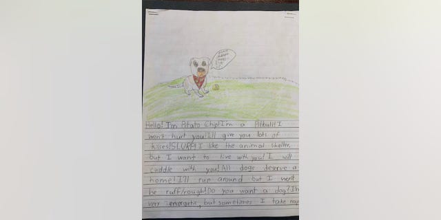 Second-graders at St. Michael's Episcopal School in Richmond, Virginia, have created artwork accompanied by letters written to potential cat and dog "parents" from the perspectives of 24 dogs and one cat.