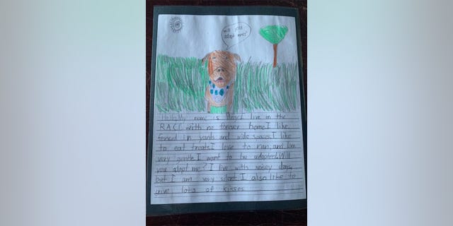 Christie Peters, director of Richmond Animal Care & Control (RACC), told Fox News Digital that she worked with her son’s teacher, Kensey Jones, on a project in which elementary school students wrote persuasive letters from the perspective of shelter animals wanting to be adopted.