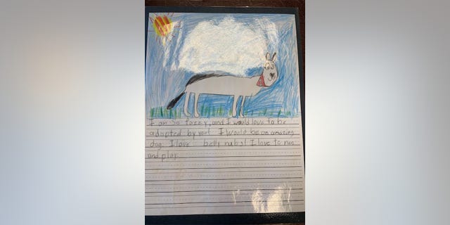 Seen in an image snapped in late February 2022, this is a child's handwritten letter from the perspective of a shelter dog who "wants to be adopted" in Richmond, Virginia.