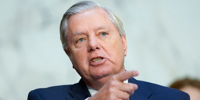 Sen. Lindsey Graham, R-S.C., said the bill could fail over the immigration fight.