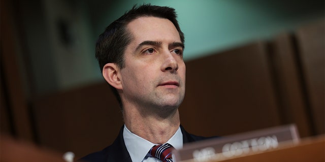 Senator Tom Cotton listens to testimony from intelligence community leaders during a Senate hearing on March 10, 2022 in Washington, D.C. 