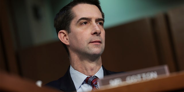 Sen. Tom Cotton listens to testimony from leaders of the intelligence community during a Senate hearing on March 10, 2022, in Washington.