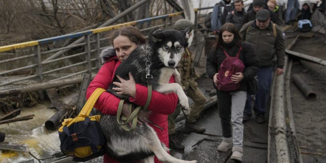 A woman holds a dog while crossing the Irpin River on an improvised path under a bridge as people flee the town of Irpin, Ukraine, Saturday, March 5, 2022.