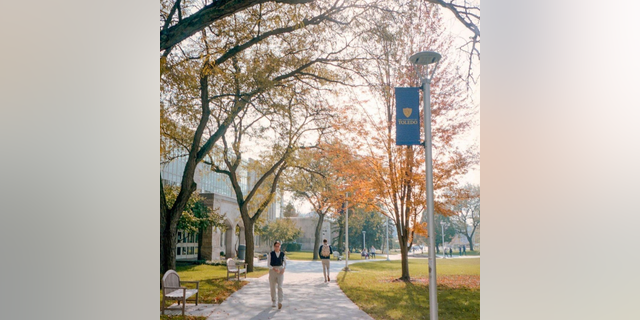 A proposed policy at the University of Toledo in Ohio states that members of the university community "must" call others by their "chosen first name."