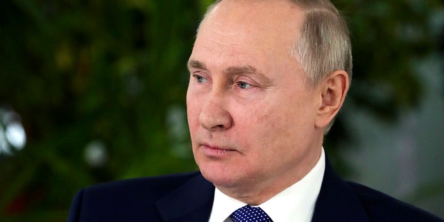Russiese president Vladimir Poetin.