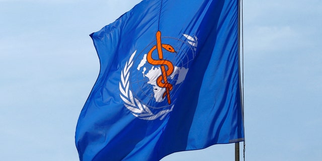 Флаг ВОЗ между раундами выборов нового Генерального директора Всемирной организации здравоохранения (ВОЗ) во время 70-й Всемирной ассамблеи здравоохранения в Организации Объединенных Наций в Женеве, Швейцария, 23 мая 2017 г. REUTERS/Denis Balibouse/File Photo 