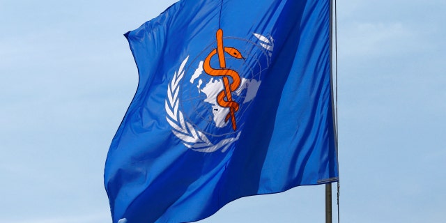 A WHO flag is pictured between rounds of the election of the new Director General of the World Health Organization (WHO) during the 70th World Health Assembly at the United Nations in Geneva, Switzerland, May 23, 2017. REUTERS/Denis Balibouse/File Photo