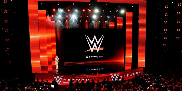 Глава отдела доходов и маркетинга WWE Мишель Уилсон выступает на пресс-конференции, посвященной анонсу сети WWE на выставке CES International 2014 в Encore Theater в Wynn Las Vegas, 8 января 2014 года, Лас-Вегас, штат Невада.