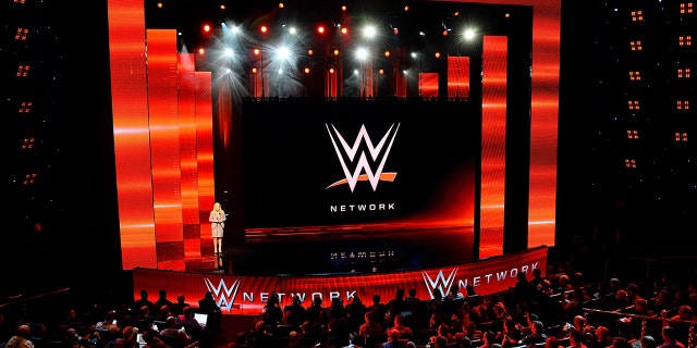 Глава отдела доходов и маркетинга WWE Мишель Уилсон выступает на пресс-конференции, посвященной анонсу сети WWE на выставке CES International 2014 в Encore Theater в Wynn Las Vegas, 8 января 2014 года, Лас-Вегас, штат Невада.