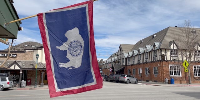 State flag of Wyoming in Jackson, WY.